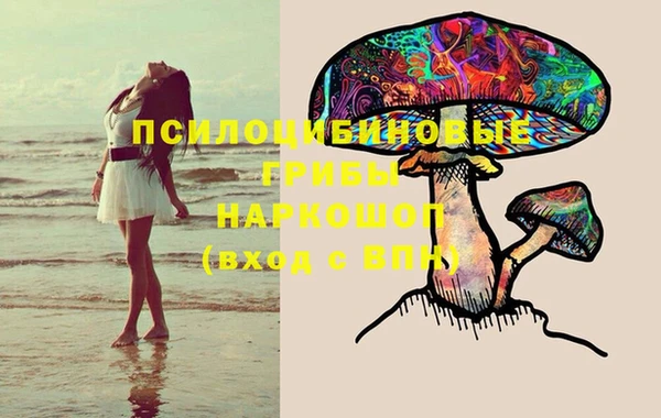 ешки Абинск