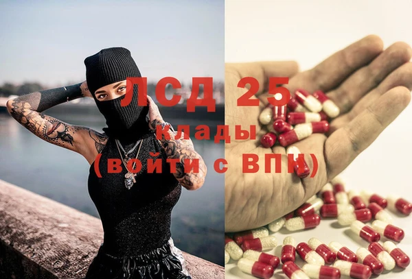 ешки Абинск
