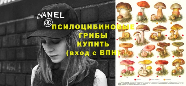 ешки Абинск