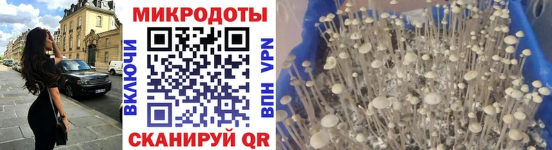 площадка как зайти  купить  сайты  Холм  Галлюциногенные грибы мицелий 
